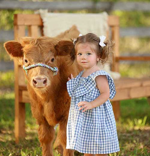 Children-with-animals-session