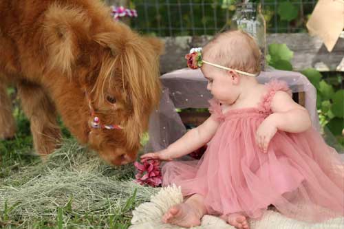 child-and-animals-photo-package-2