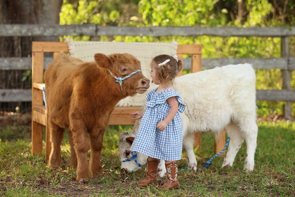 child-and-calf-photo
