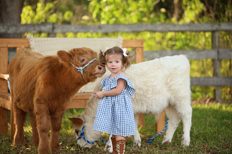 Dakin Images Child & Animal Photography Services