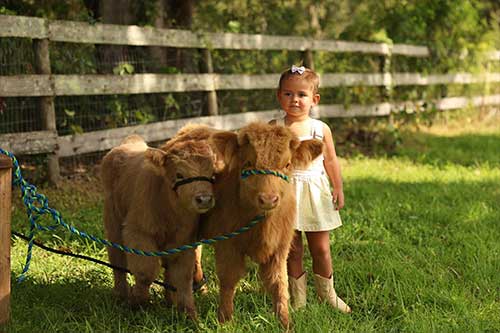 girl-and-calf-photo-package