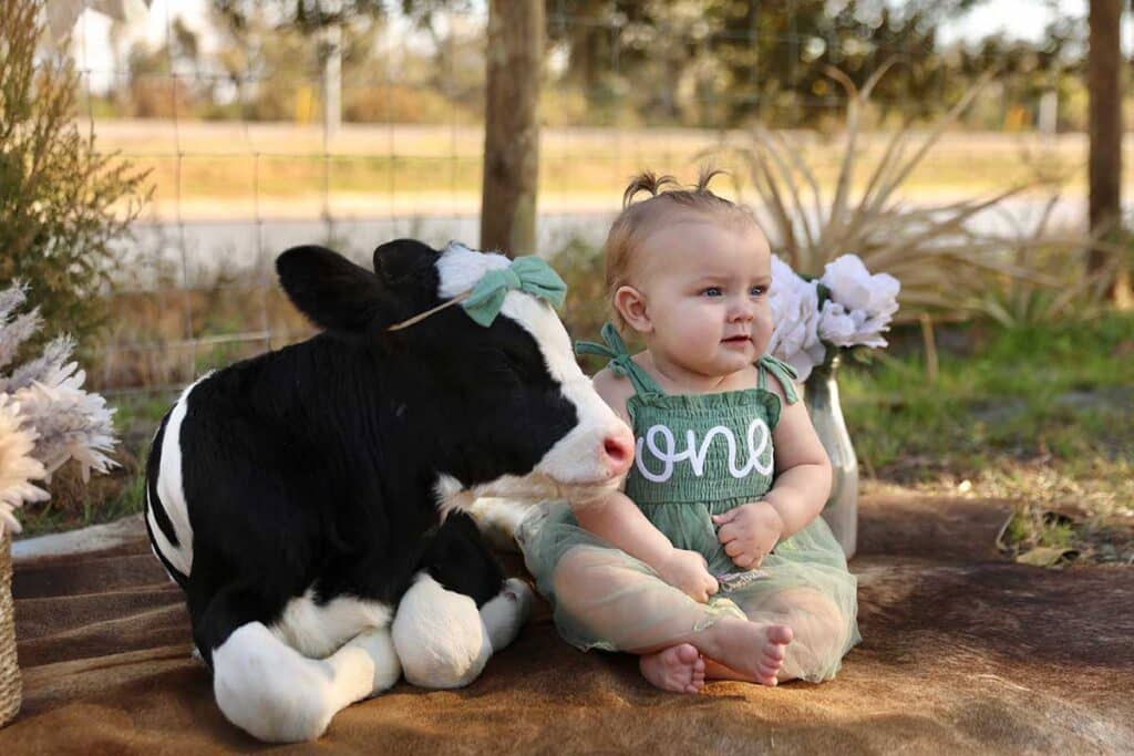 little-girl-with-calf